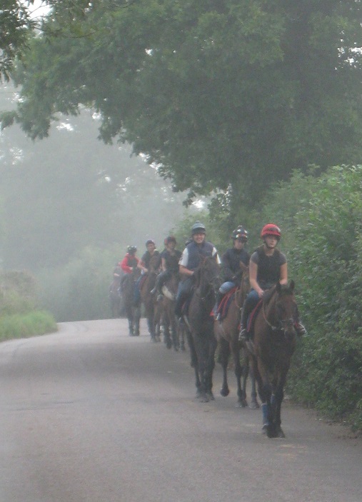 String_road_to_gallops_sept14_web