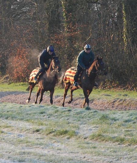 1Dukes_Art__Dan_Breen_gallops