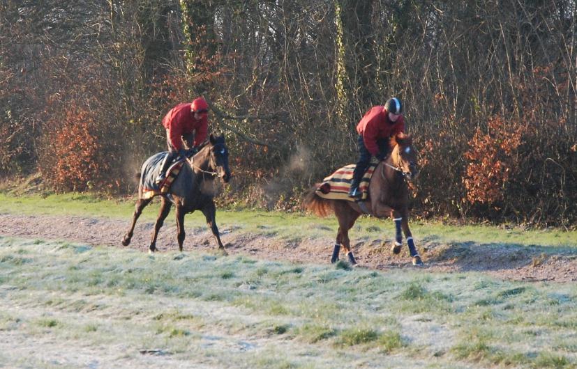 1Katchmore__Martial_Law_gallops