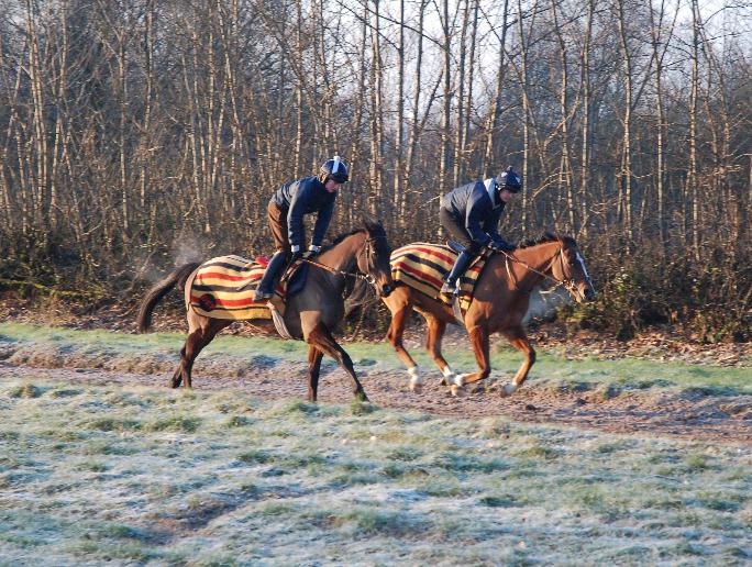 1Massinis_Maguire__Shaking_Hands_gallops