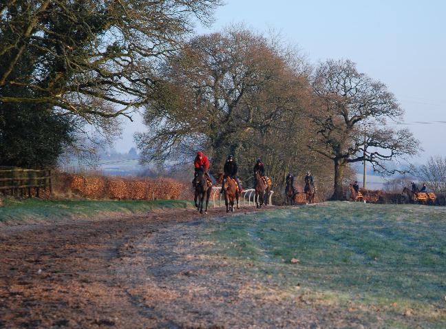 1On_the_gallops2