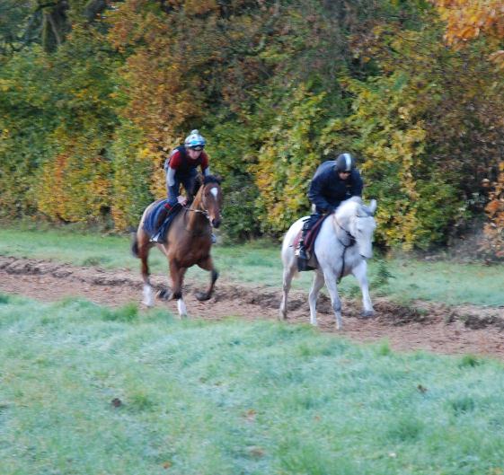 African_Broadway__Spanish_Cruise_gallops