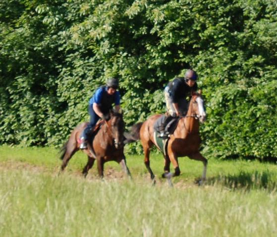 American_Art__Kilshanna_gallops