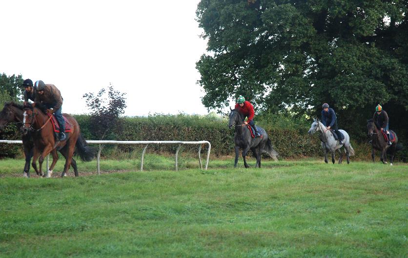 Back_down_the_gallops
