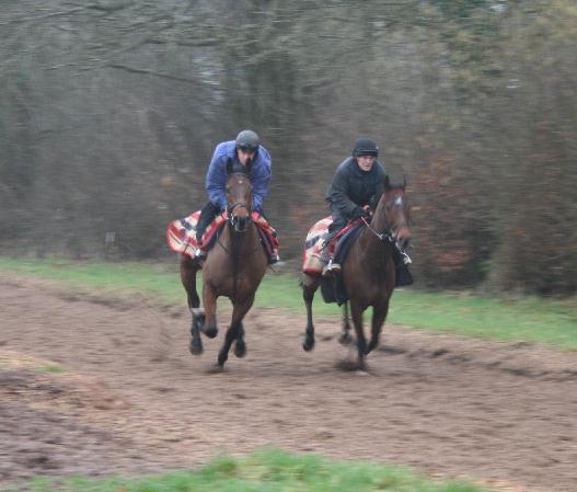 Bathwick_Brave__Dan_Breen_gallops