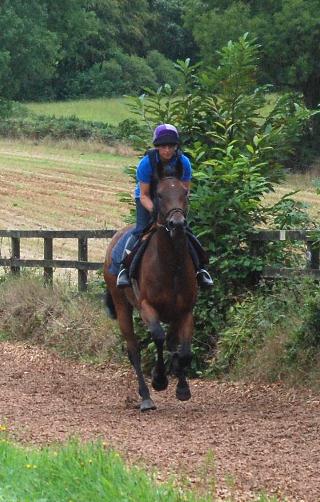 Bathwick_Brave_gallops