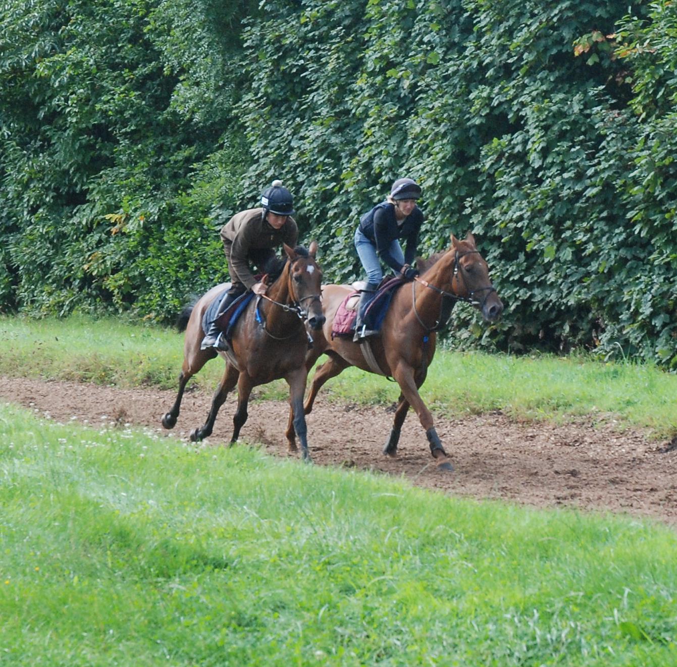 Bathwick_Man__Businessmoney_Judi_gallops