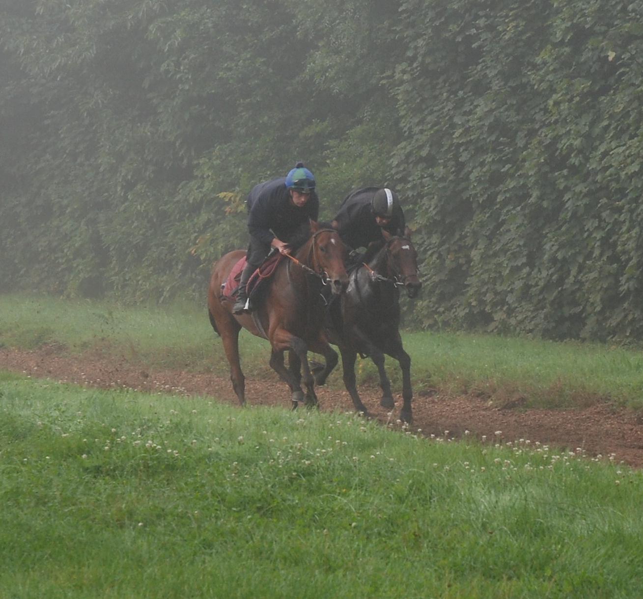 Bathwick_Scanno__Rainy_Champion_gallops