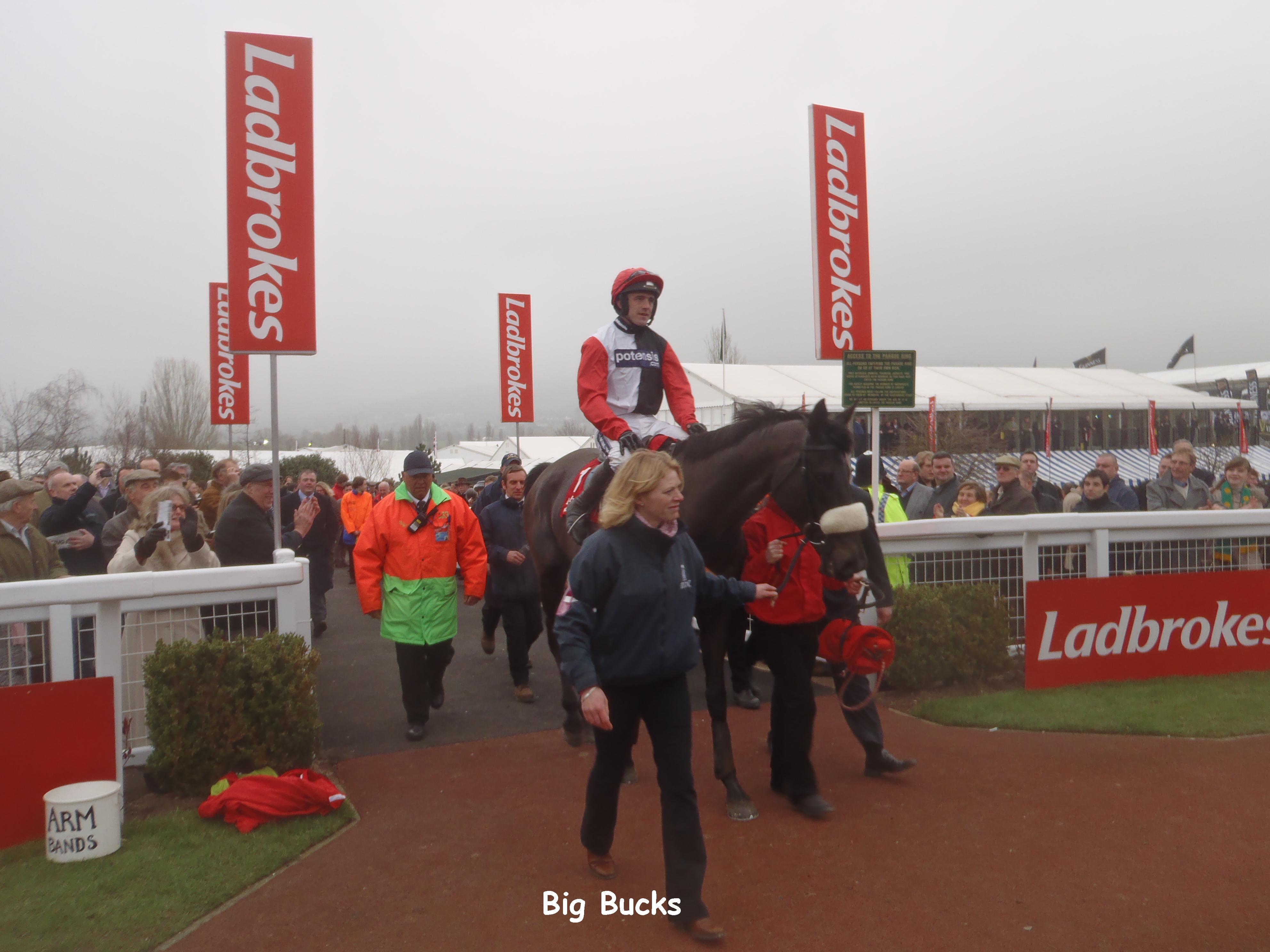 Big_Bucks_Cheltenham