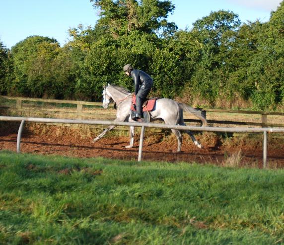 Bladoun_gallops