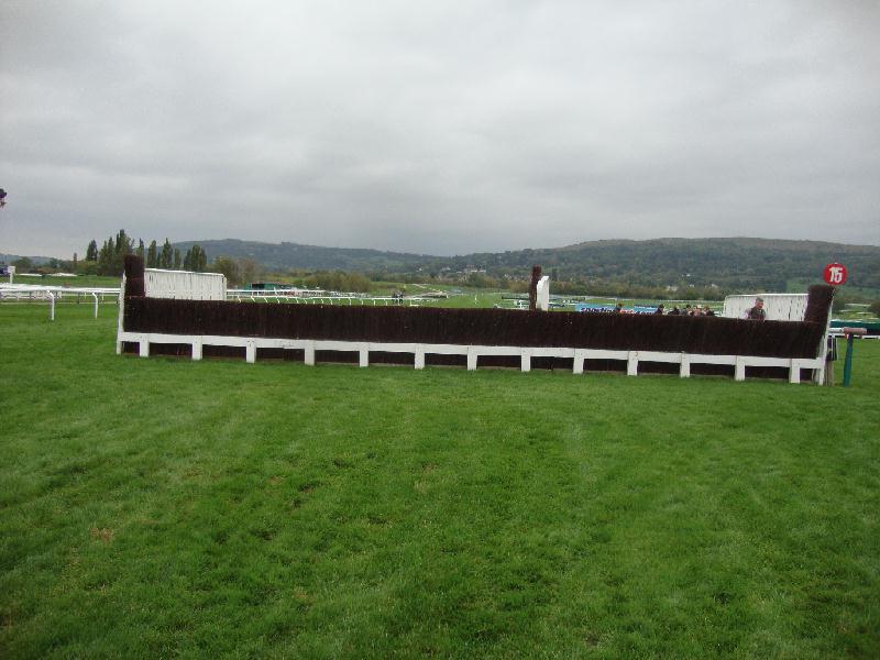 Cheltenham_penultimate_fence1