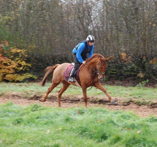 Choumakeur_gallops