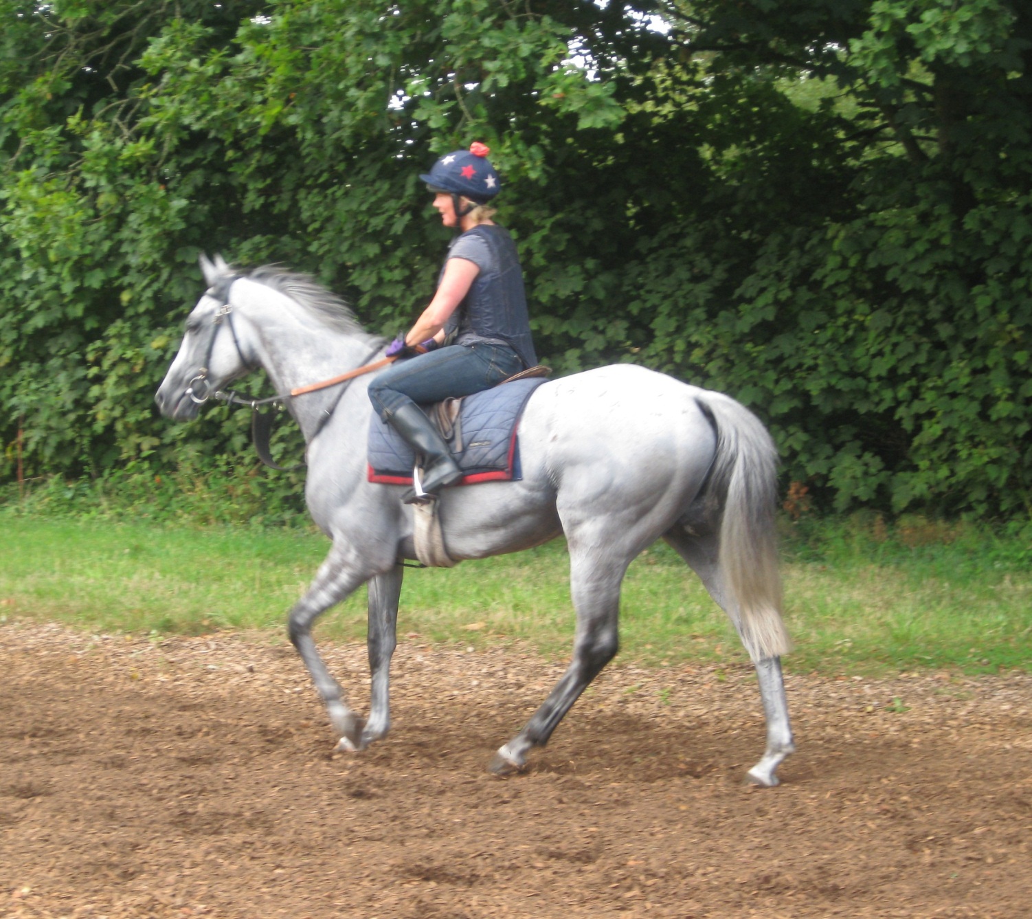 Dynaste_Gallops_Aug_14