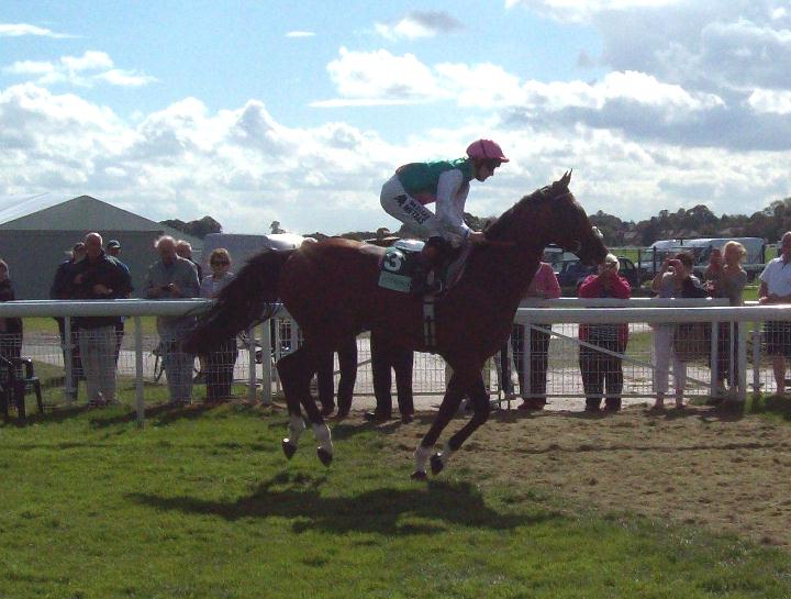 Frankel_York_web