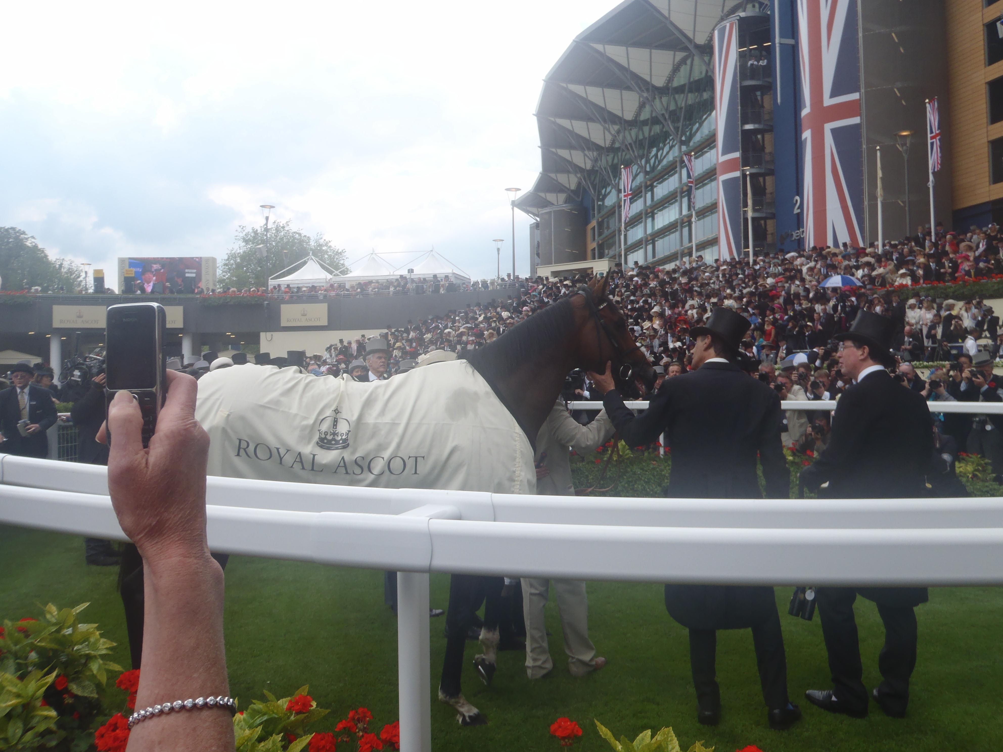 Frankel_winners_enclosure_Ascot_2012