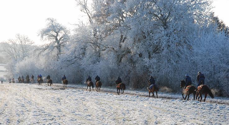 Frosty_String_gallops_081210web