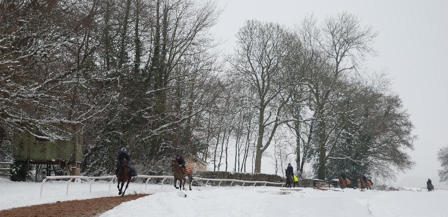 Gallop_in_the_snow2_211210