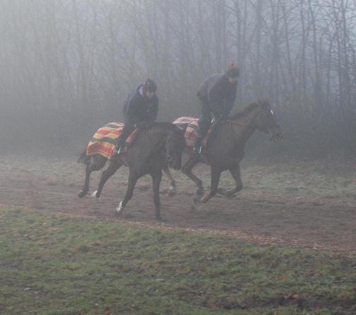 Gentle_Range__Minella_Four_Star_gallops