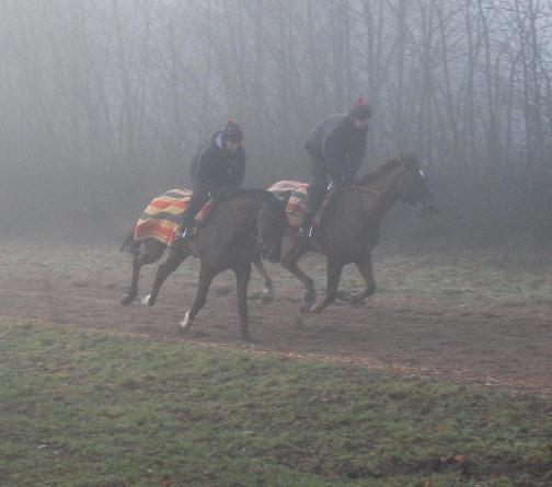 Gentle_Range__Minella_Four_Star_gallops