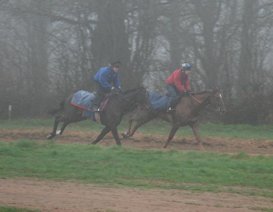 Gentle_Ranger___Minella_Four_Star_gallops