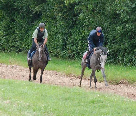 Gevrey_Chambertin__Bladoun_gallops