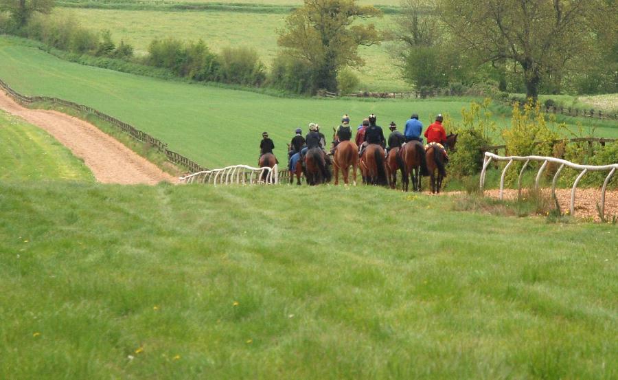 Going_down_gallops