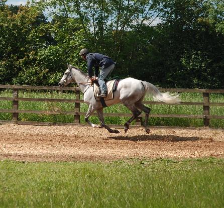 Grands_Crus_gallops