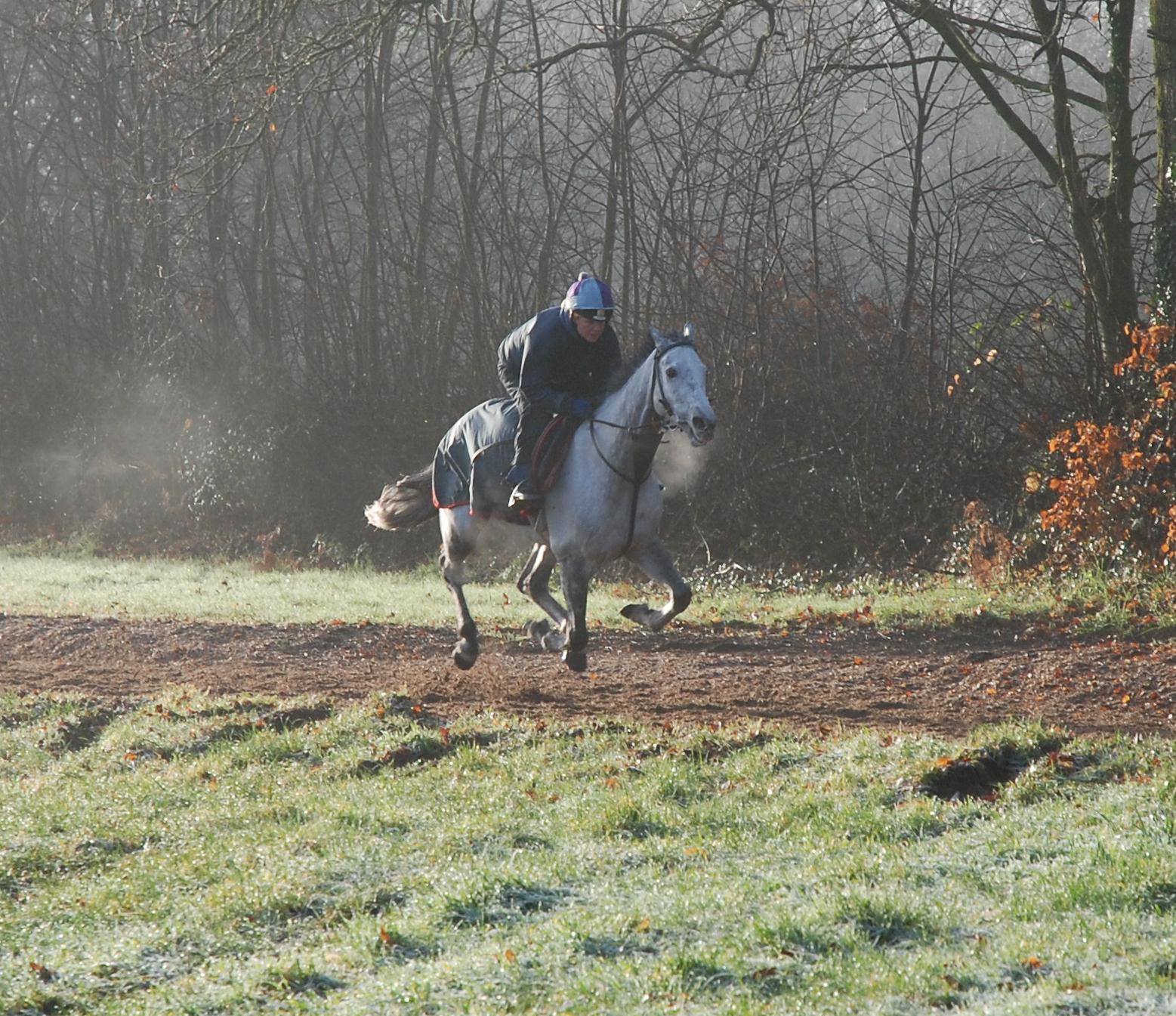 Great_Endeavour_gallops