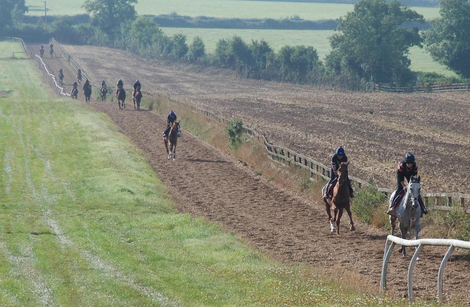 Horses_going_up_gallops_sept_13_web