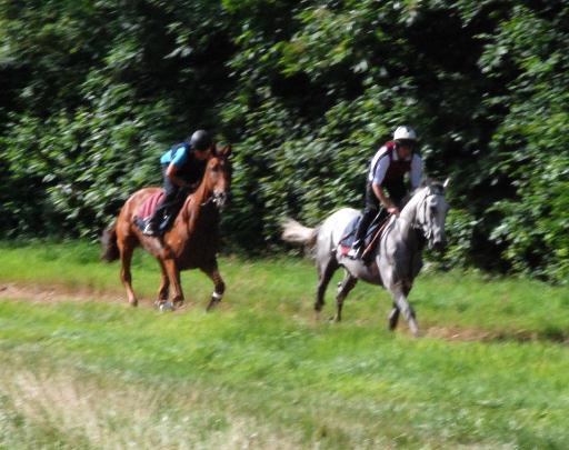 Hunterview__Bois_Des_Aigles_web