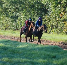 Hunterview__Woodlark_Island_gallops