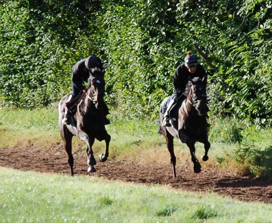Knight_Pass__Investissement_gallops