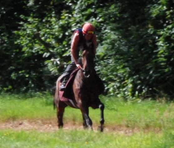 Kowloon_gallops_aug_web
