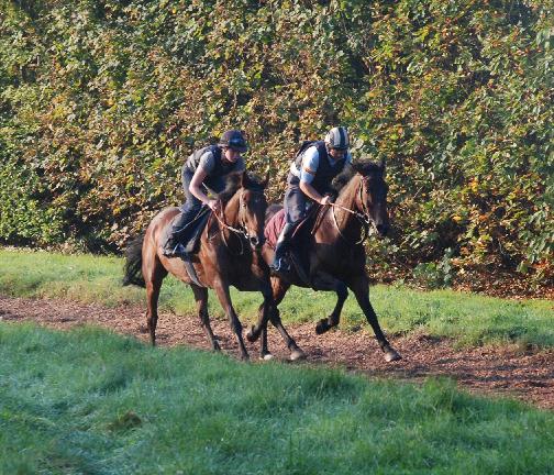 Lough_Derg__Another_Display_gallops