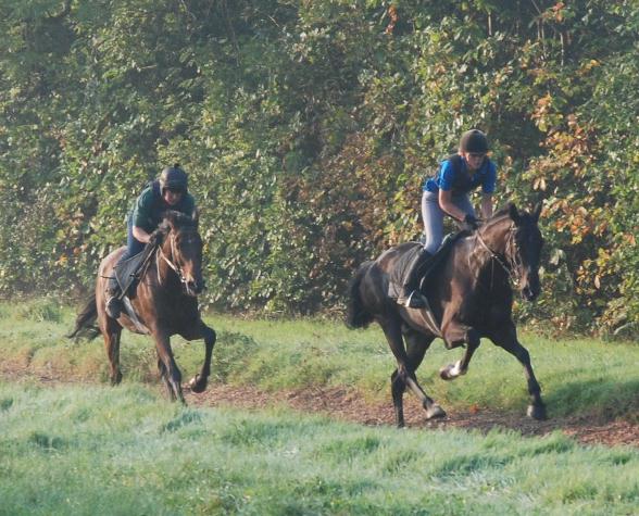 Lough_Derg__Gentle_Ranger_gallops