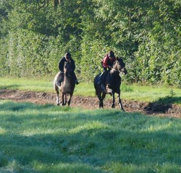 Lough_Derg__Madison_Du_Berlais_gallops