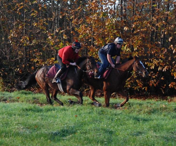 Lough_Derg__Shaking_Hands_gallops