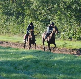 Lucys_Perfect__Mount_Hadley_gallops