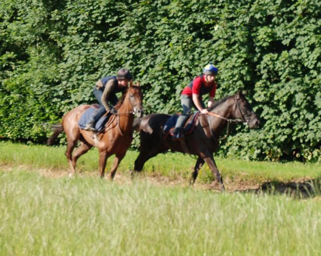 Lucys_Perfect__Street_Entertainer_gallops