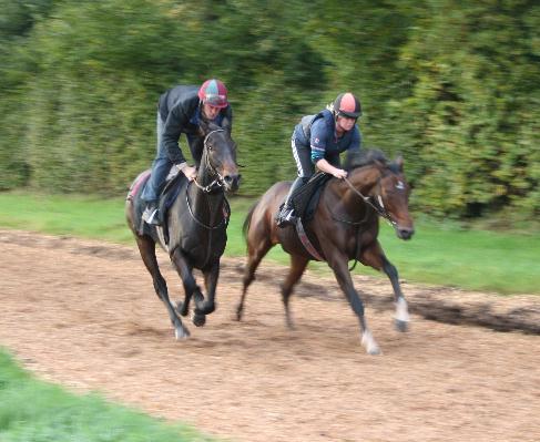 Mamlook__Dan_Breen_gallops