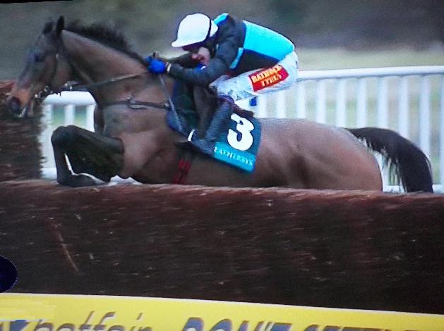 Massinis_Maguire_Ascot_web