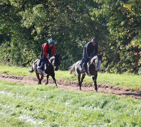 Master_Overseer__Atlantic_Pearl_gallops
