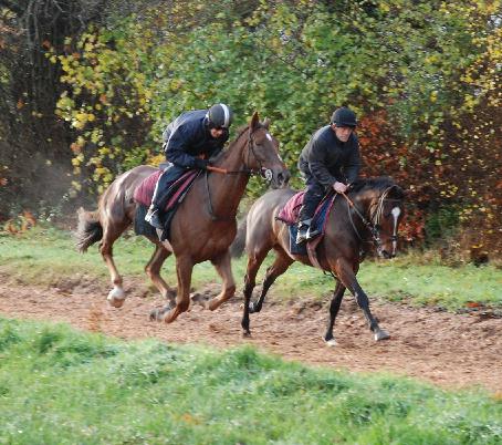 Minella_Four_Star__Theyellowlough_gallops