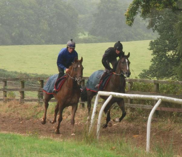Off_the_Wall__Jigsaw_Puzzle_gallops_sept13_web