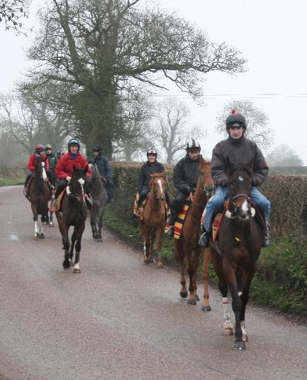 On_way_to_gallops