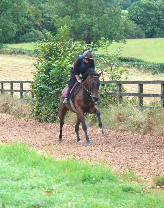 Otterburn_gallops