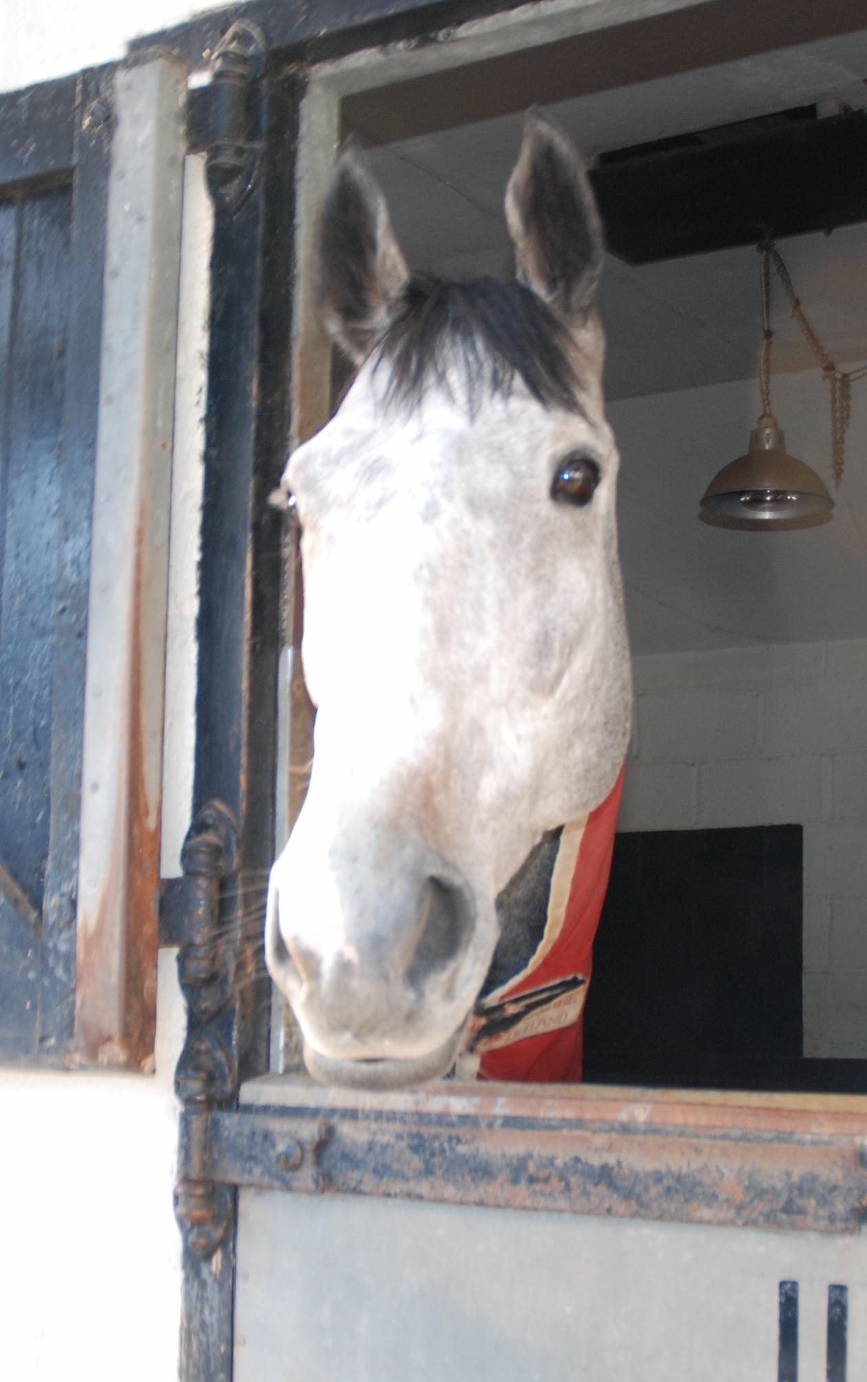 Our_Father_stable
