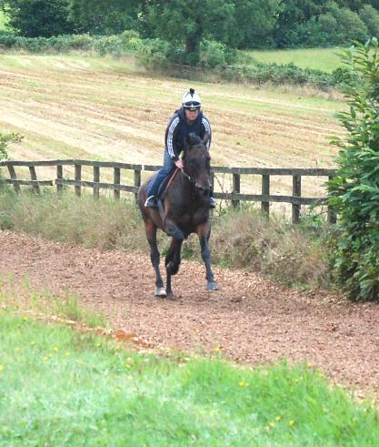 Painter_Man_gallops