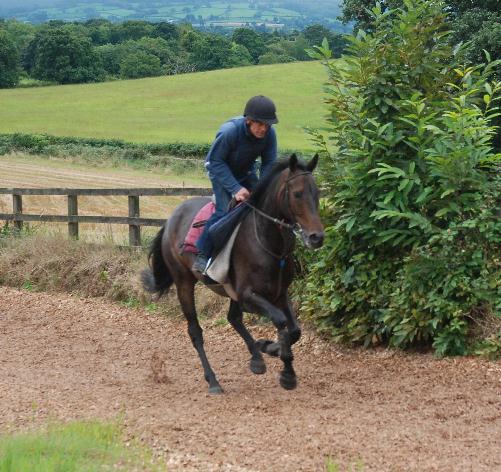 Quinte_Du_Chatelet_gallops