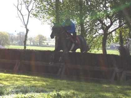 Qulinton_fences